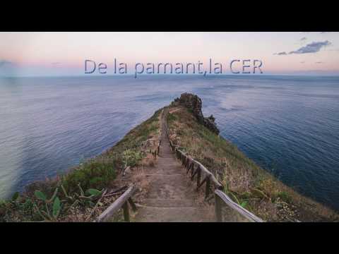 Manu Negrea - De la pamant,la cer