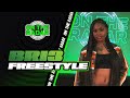 The Bri3 On The Radar Freestyle