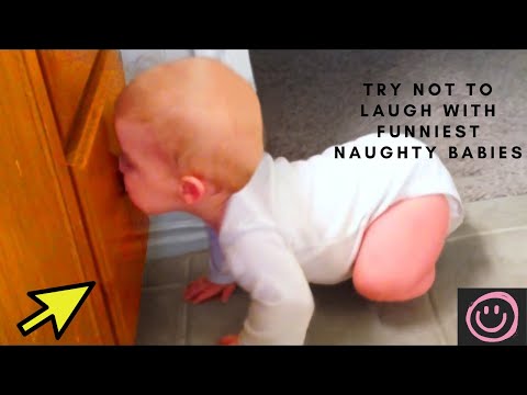 Try Not to Laugh with Funniest Naughty Babies| whatsyouropinion