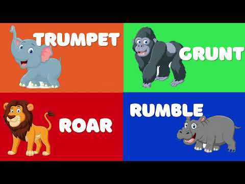 El Sonido de los Animales 🐮🐶 | Los Niños Aprenden Canciones Divertidas en Español Animal Sounds Song