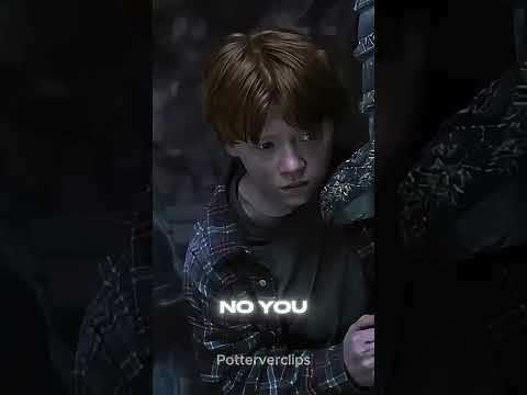 Auburn - Not me Not you