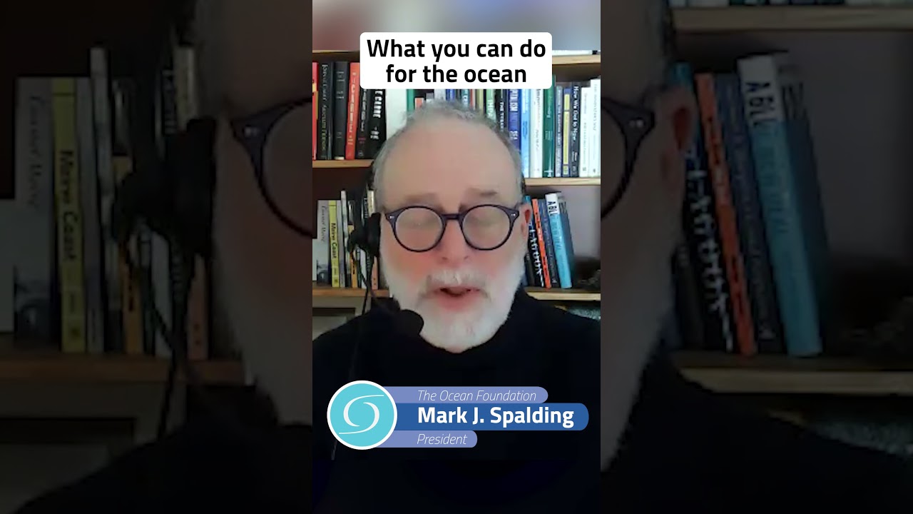 What YOU can do for the ocean | #SustainableSeafood #EatLocal #OceanConservation #CarbonFootprint