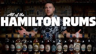 I tasted every Hamilton Rum in a Daiquiri
