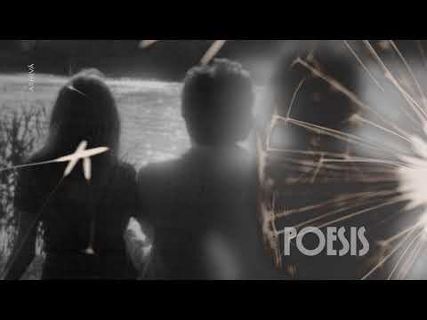 Poesis: Mircea Neacşa – Lemn de foc de Adrian Păunescu (@Arhiva TVR)