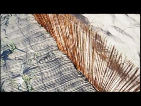 Abraza mi ritmo (con El Hombre Viento)