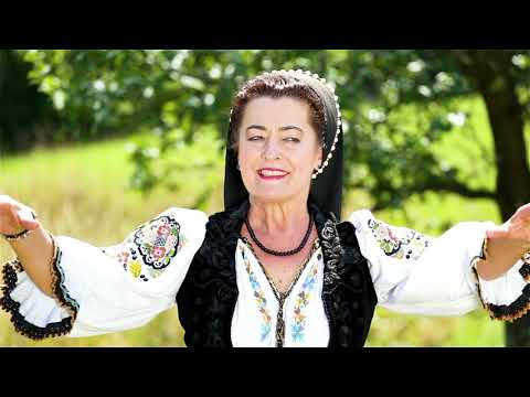 Leontina Pop - Fluieras de soc