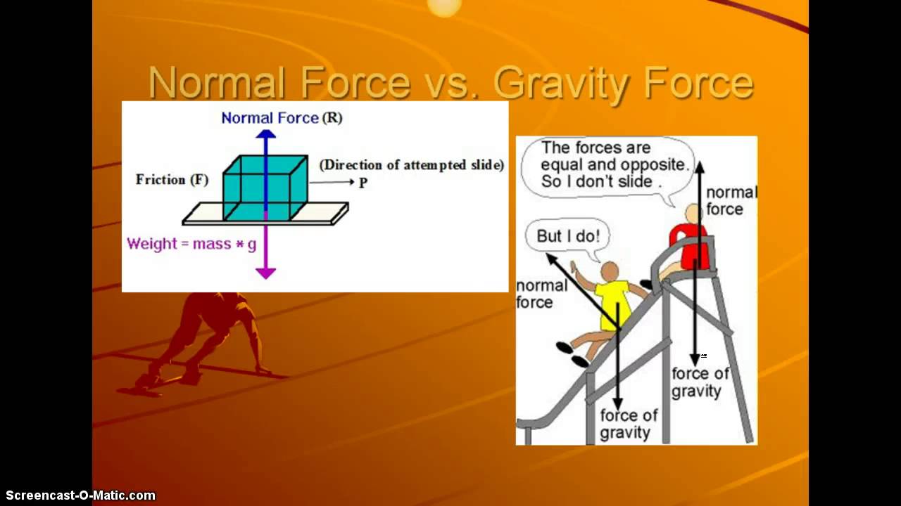 Physical Science Motion and Force