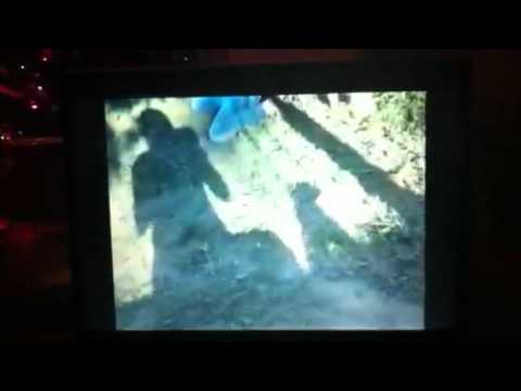 Cec. Iove you. Memom