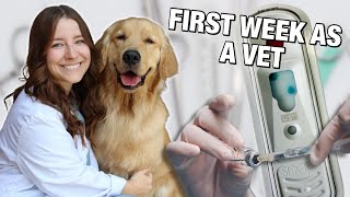 FIRST WEEK AS A VETERINARIAN 🐾 new grad vet vlog