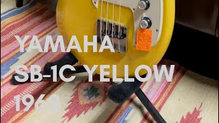 Video thumbnail for YAMAHA SB-1C 1968 YELLOW 【GOODNESSGUITARS 】#shorts #guitar #bass by GOODNESSGUITARS