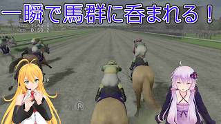 去年どうやって勝ったんだ？1986年１０月５＜ＢＣクラシック＞マキマキのチャンピオンジョッキー＜凱旋＞＃124