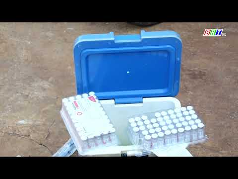 phuong-buon-ho-tang-cuong-cac-bien-phap-phong-chong-benh-dai-tren-dia-ban