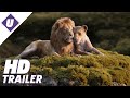 Disney S The Lion King Can You Feel The Love Tonight TV Spot
