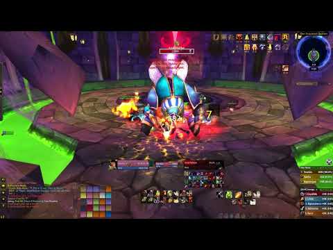 Anub'Rekhan in sub 90s! 25m Solo Tank (Prot Paladin)