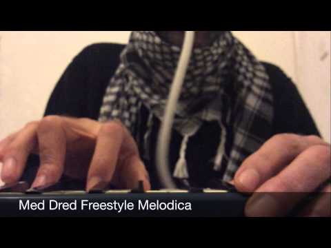 Med Dred Freestyle Melodica