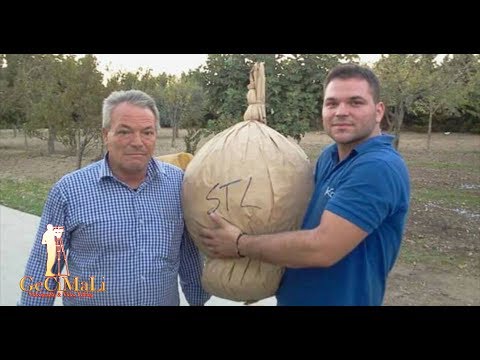 PENTA (Av) 17 agosto 2018 Pirotecnica Del Vicario da San Severo (Fg) by GECIMALI