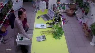 Очень быстрое ограбление цветочного магазина - Видео онлайн