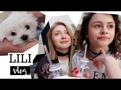 LILIVLOG ● SAN WANTED TO KILL ME! //LILAJANOWSKA