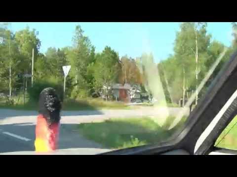 Kvevlax Koivulahti Norrvik Petsmo Hankmo Suomi Finland 12.7.2015