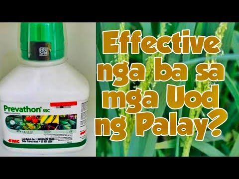 Prevathon Insecticide