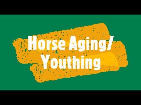 Horse Academy Tutorials - Horse Aging/Youthing