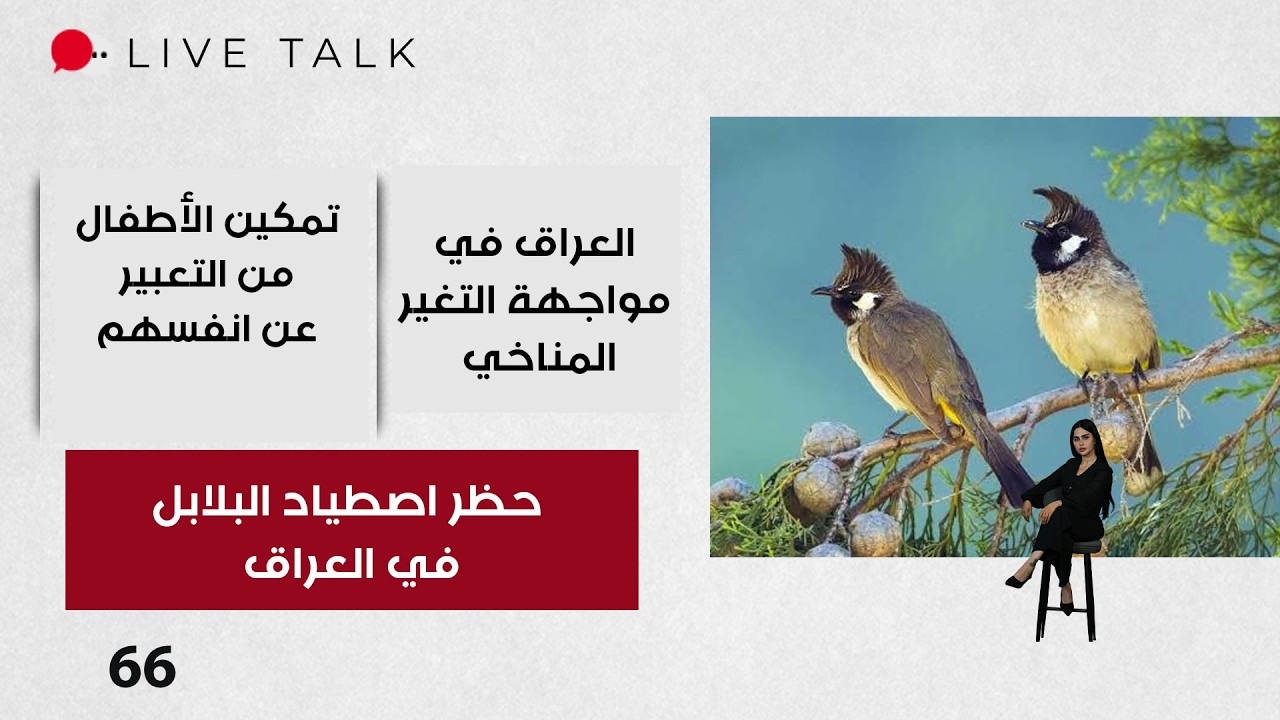 فيديو | حظر اصطياد البلابل في العراق  - Live Talk م٢  - الحلقة ٦٦