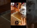Their Speed