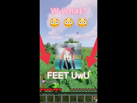 Minecraft But Emi Likes Feet??