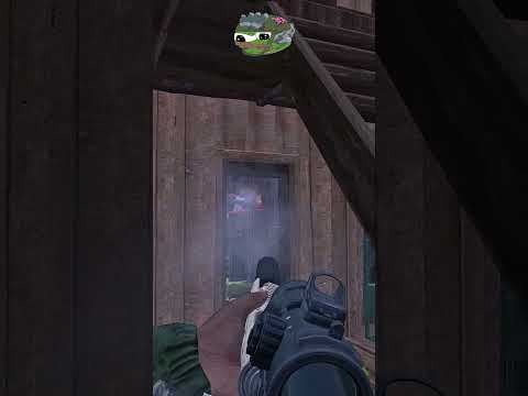 The last defenders... DayZ Raid