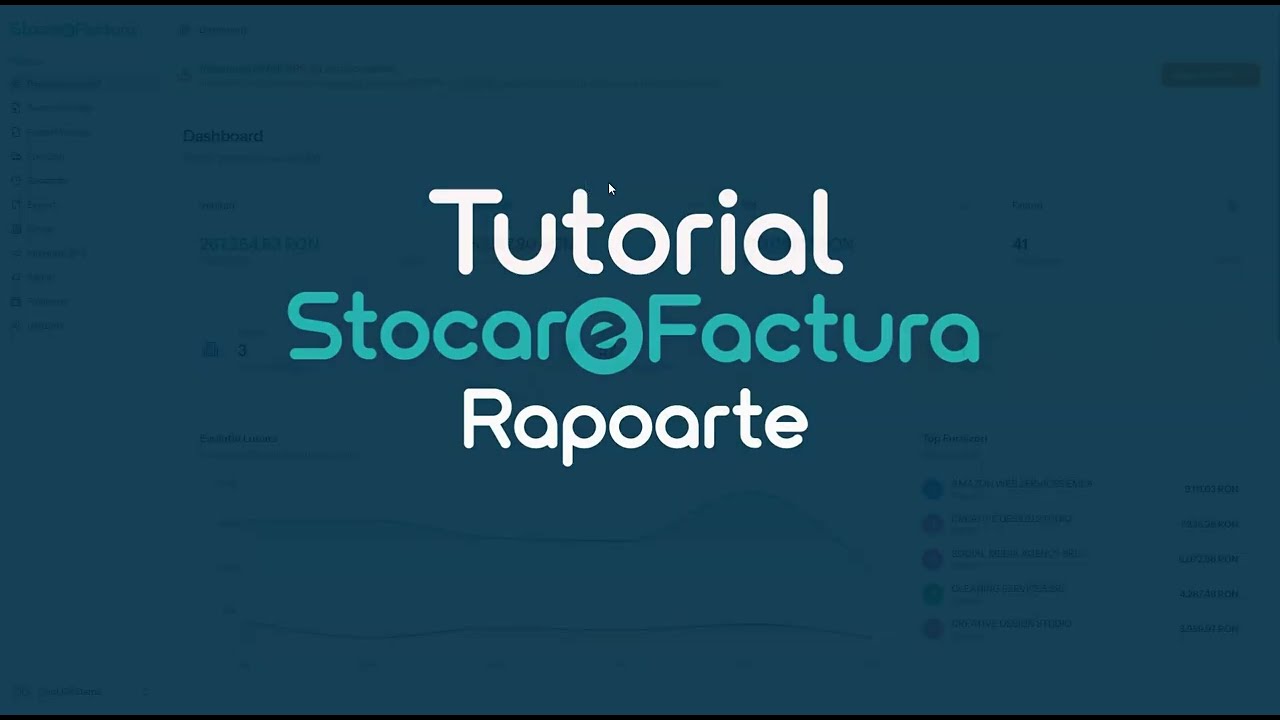 Rapoarte Financiare in Stocare Factura | Analizeaza Cheltuielile si Veniturile