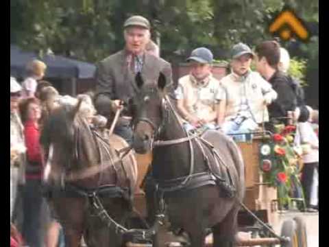 Internationaler Kutschenkorso