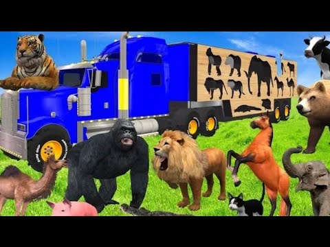 MAKE AND TRANSPORT CHAFF WITH IVECO TRUCKS - Farming Simulator 22