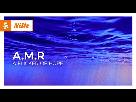 A.M.R - A Flicker of Hope [Organic House | Monstercat]