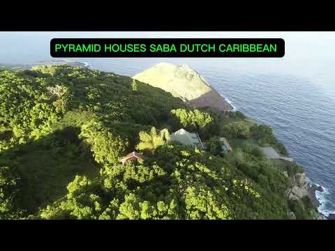 Home by Oneroot Freeman