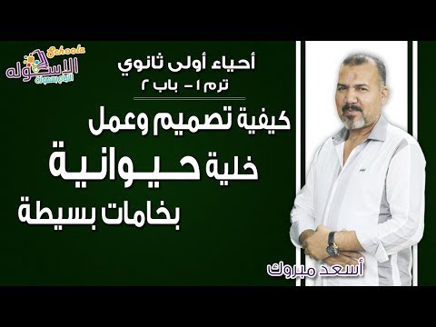 أحياء أولى ثانوي 2019 | كيفية تصميم وعمل خلية حيوانية بخامات بسيطة | ت1- الباب الثاني | الاسكوله