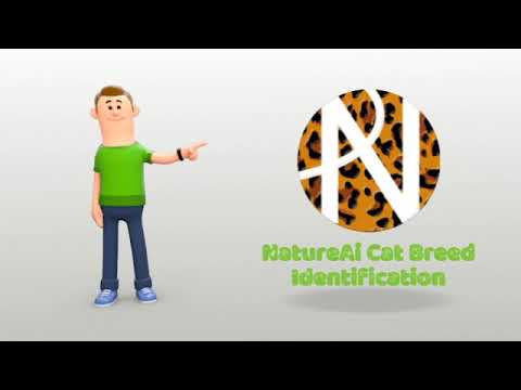 Cat breed identifier - Cat breed scanner