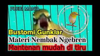 Download lagu Masteran Pleci Nembak Panjang Paling di Cari!!!! mp3 Download lagu Masteran Pleci Nembak Panjang Paling di Cari!!!! mp3