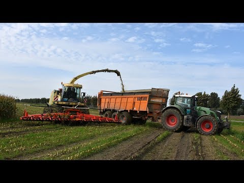 Krone BigX 850 & Kemper 390plus - De Bruyne Agro - mais 2017