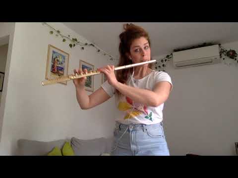 The Flower Duet (Delibes) | Flute Duets Minus One