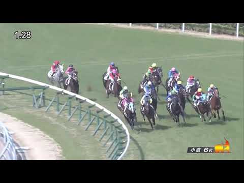 Arrivo (JPN) wins race 6 at Kokura 2/20/2021