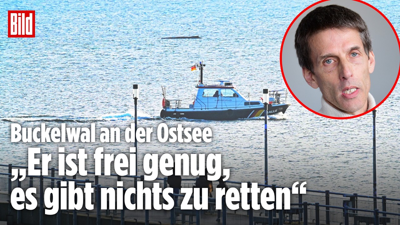 PROFESSOR BASCHEK ZUM OSTSEE-WAL: „Er ist frei genug, es gibt nichts zu retten“