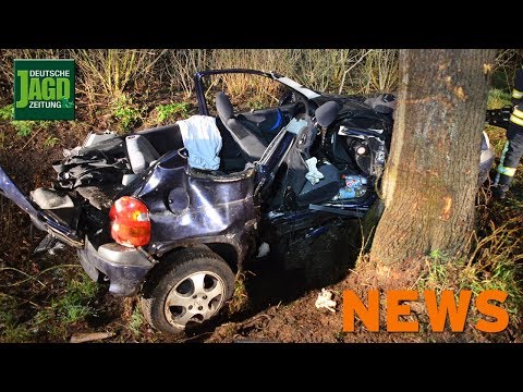 2 Tote nach Wildunfall, Verletzter auf Hochsitz, gewilderte Sauen, u. w. – DJZ-News 16/2018