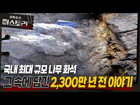 2천만 년 전 보물이 발견됐다?