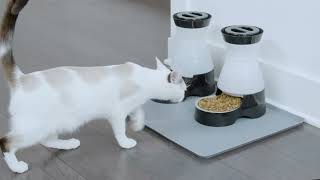 PetSafe Healthy Pet Food Station - How To Clean & Assemble