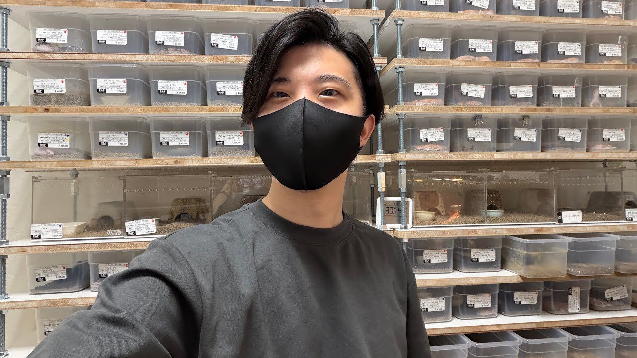 限定SALEのお知らせです！