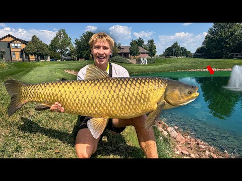 These PRIVATE Ponds are FULL of GIANT Fish!