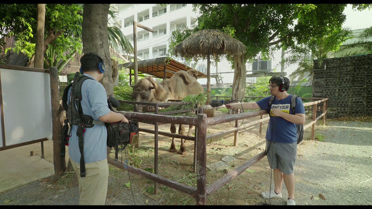 Death of the Sound Man_Official Trailer