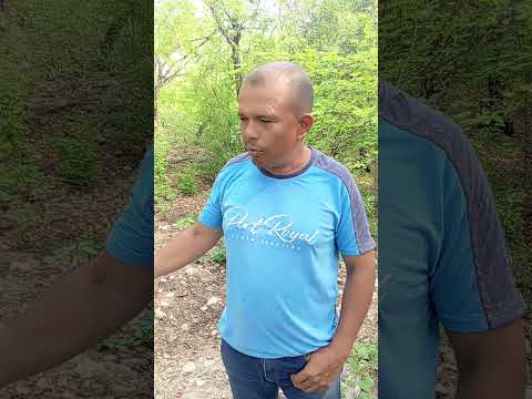 problemática ambiental en el balneario el pozo hatonuevo la guajira