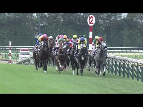 2019 Tenno Sho-Autumn (G1)