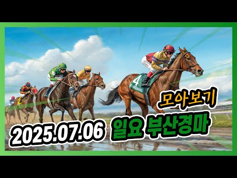 2025년 7월 6일 일요 부산경마 전체경주 모아보기